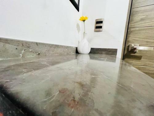 Apartamento Departamento Completo San Luis Potosi