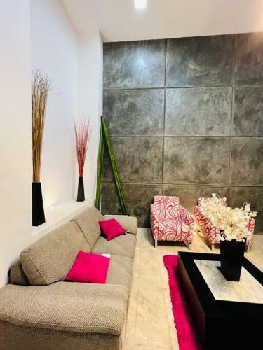 Apartamento Departamento Completo San Luis Potosi