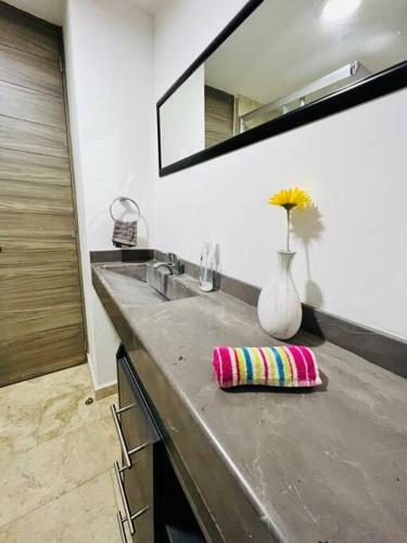 Apartamento Departamento Completo San Luis Potosi