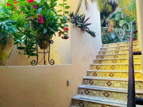 Casa Boho 1