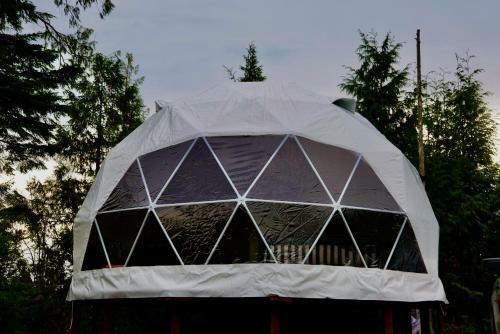 Off Grid Forest Dome