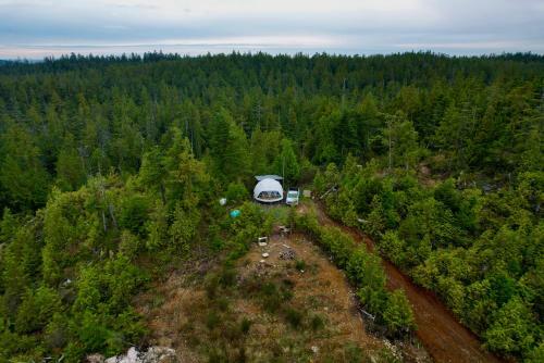 Off Grid Forest Dome