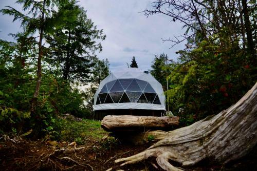 Off Grid Forest Dome