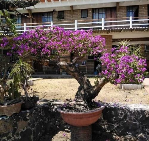 Hostal Hospedaje Mi Esperanza