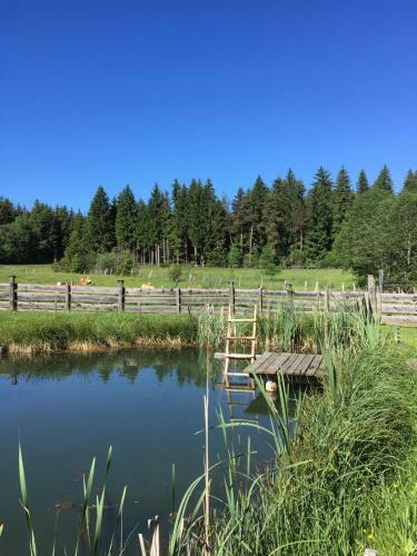 Apartamento Ferienwohnung Morgensonne