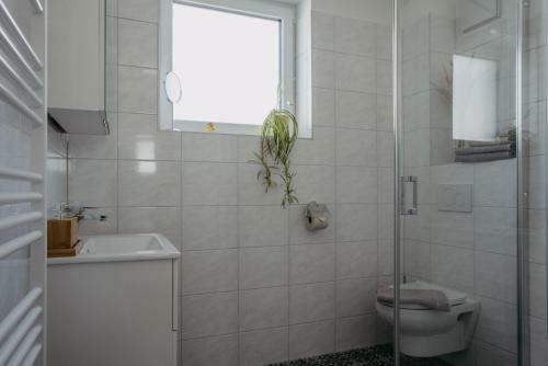 Apartamento Auszeit Neusiedlersee Top 1