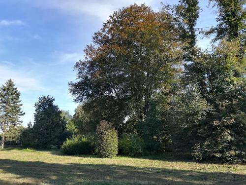 Hostal G�stehaus & Privatzimmer Posch