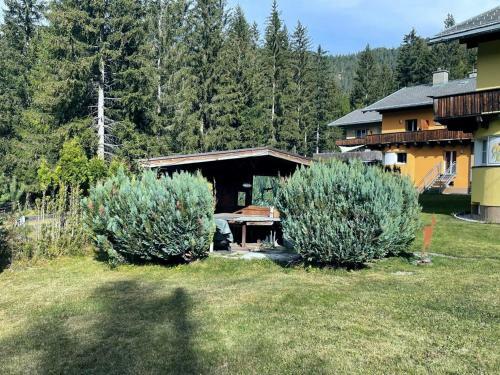 Apartamento Ferienwohnung Neufundl�nder
