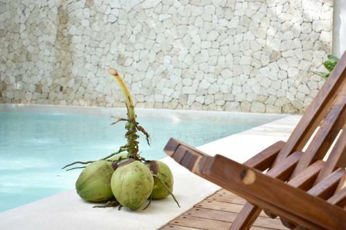 Apartamento Chic-modern Apt W/pool, Garden, Parking & 3 Bikes
