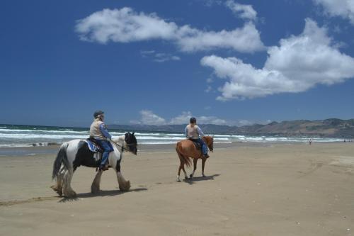 Beach Front 135