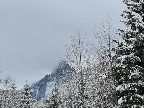 Apartamento Panorama, Appartement 34, Torgon Schweiz
