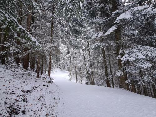 Apartamento Panorama, Appartement 34, Torgon Schweiz