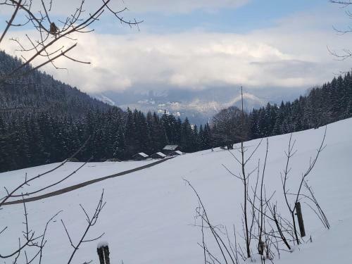 Apartamento Panorama, Appartement 34, Torgon Schweiz