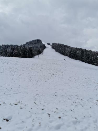 Apartamento Panorama, Appartement 34, Torgon Schweiz