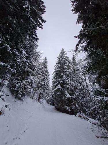 Apartamento Panorama, Appartement 34, Torgon Schweiz