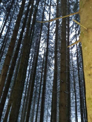 Apartamento Panorama, Appartement 34, Torgon Schweiz