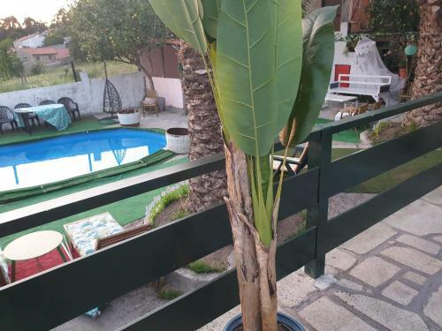 Casa Con Encanto Natural