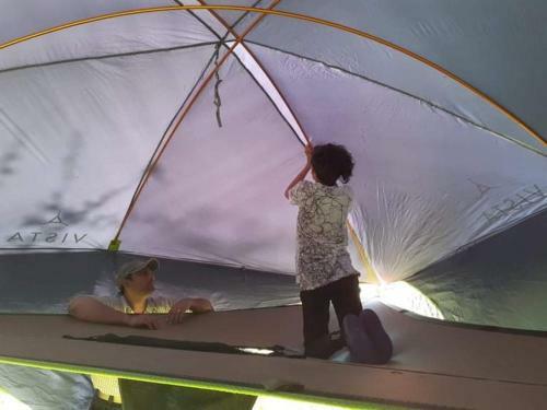 Syd�backa Tentsile-puumajoitus