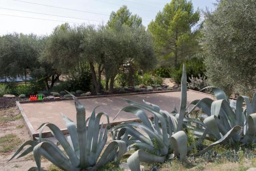 Villa Mas Des Avelines