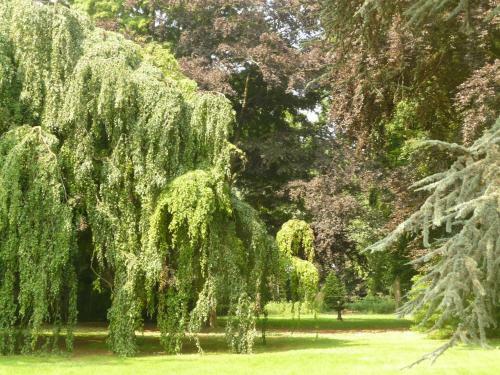 Hostal Manoir Les C�dres