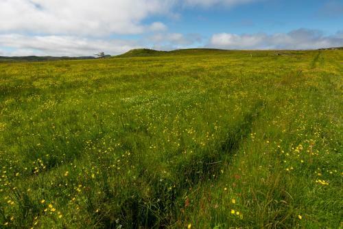 21 Callanish Luxury Pod