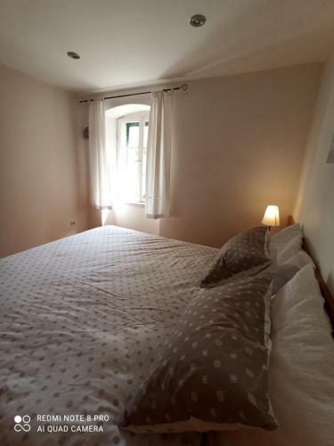 Apartmani Passer