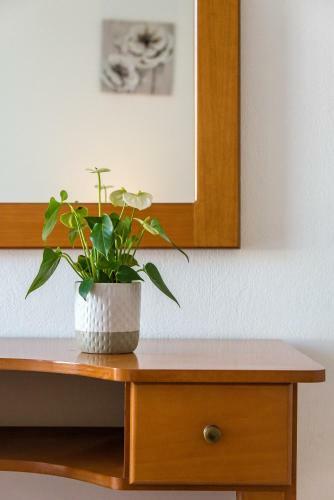 Apartamento Joanna's Studio 2