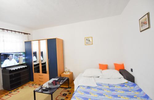Apartment Ruza