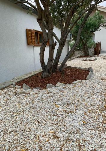 Kod Dide