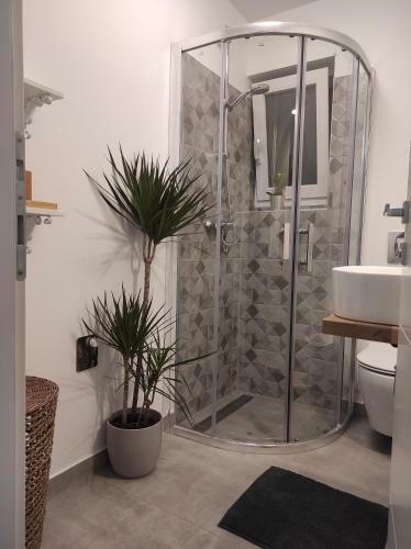 Apartamento Ema