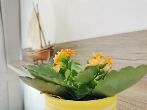 Studio Apartment Glorijeta