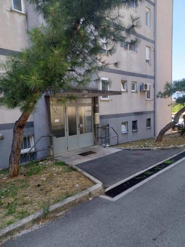 Apartman Ve?ica