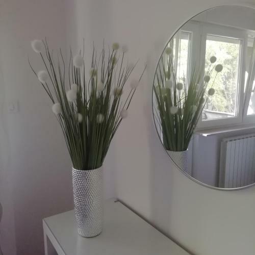 Apartamento Luca�s Dream