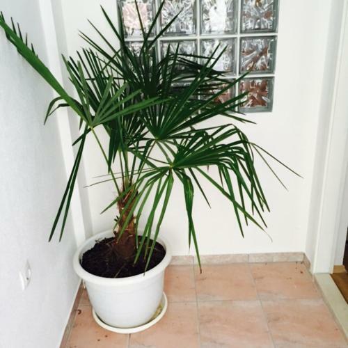 Apartamento Ap Mary