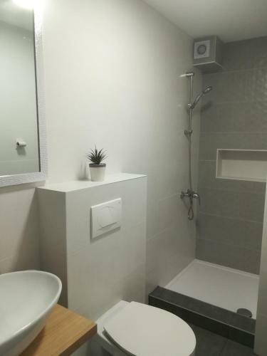 Apartmani Hermes Jadrija