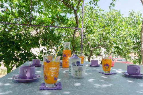 Apartment Lavender Dream