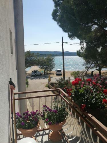 Apartman Dekovi?