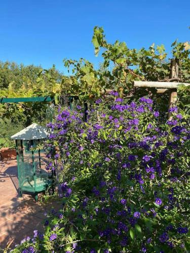Apartamento Villa Aura