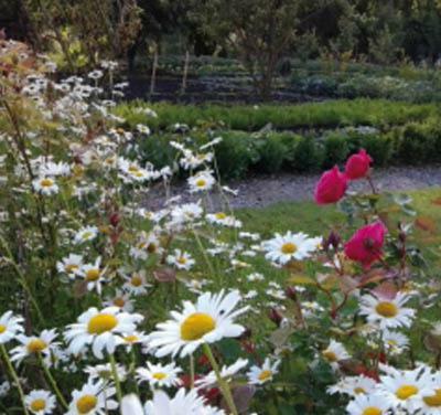 Hostal Les Trois Roses