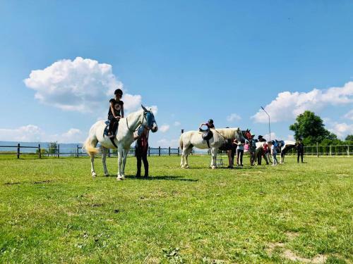 Agroturismo Ranczo Zwierzyniec