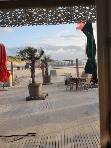 Bed & Breakfast Cozy Garden House Kijkduin Beach