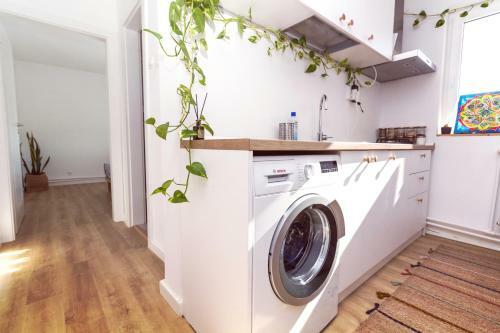 Apartamentul Cu Plante
