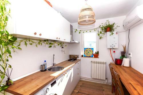 Apartamentul Cu Plante