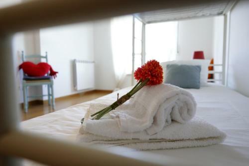 Apartamento Amazing Lodge By The Ocean - Fully Equipped!