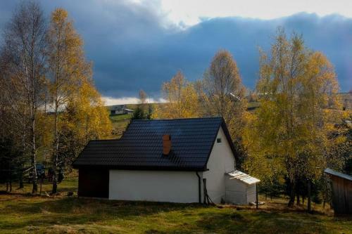 Blidarei - Transilvanian Haven