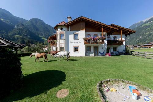 Hotel Anewandter