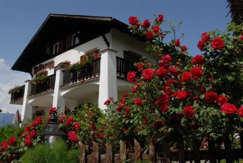 Hostal Felsenegg