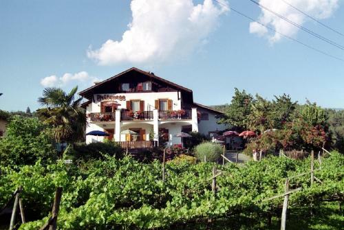 Hostal Felsenegg