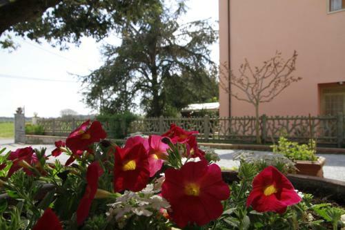 Hostal La Mimosa