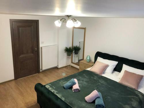 Ultra Central Apartment, Free Parking Oradea - Stray Cats
